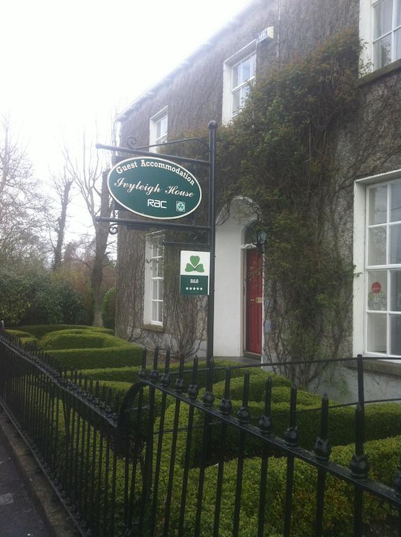 Bed and Breakfast Ivyleigh House Port Laoise Zewnętrze zdjęcie